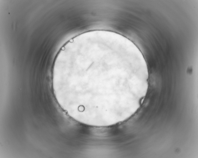 X0000091571150200709100951