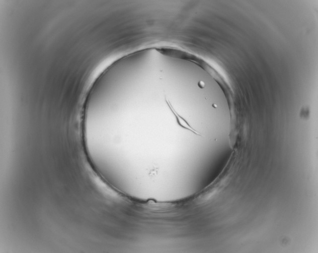 X0000091571151200709100951