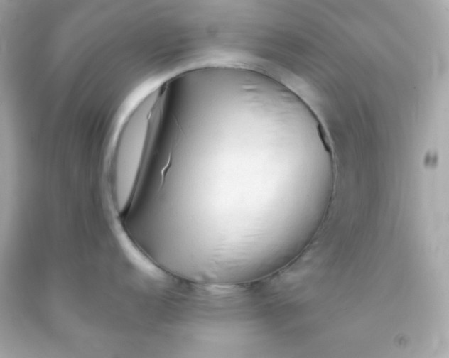 X0000091571152200709100951