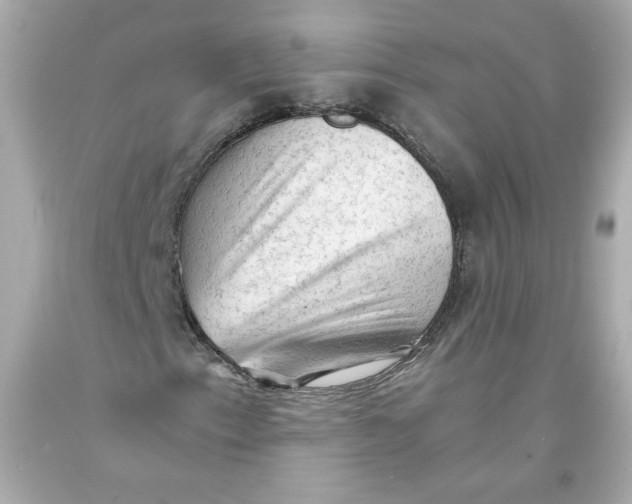 X0000091571153200709100950