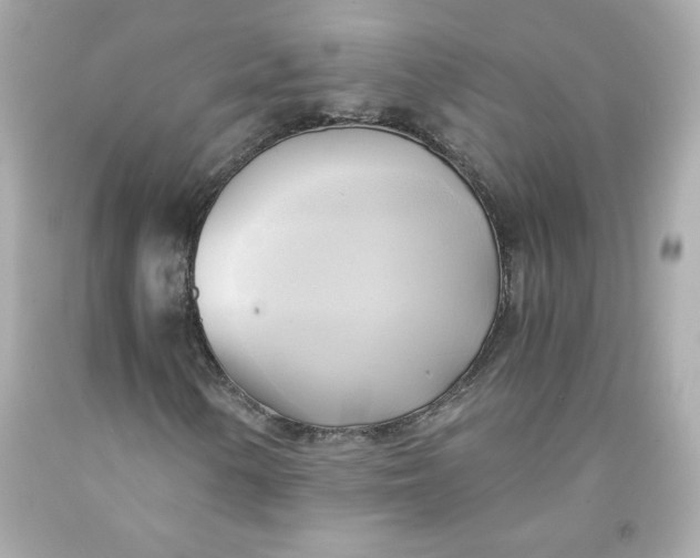 X0000091571154200709100950