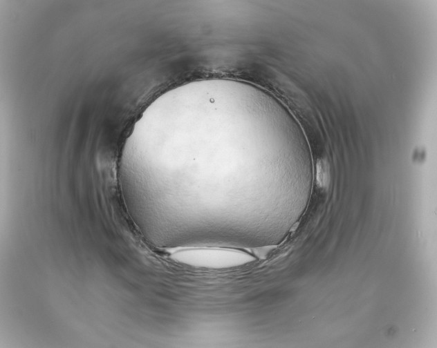 X0000091571155200709100950