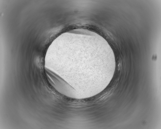 X0000091571156200709100950