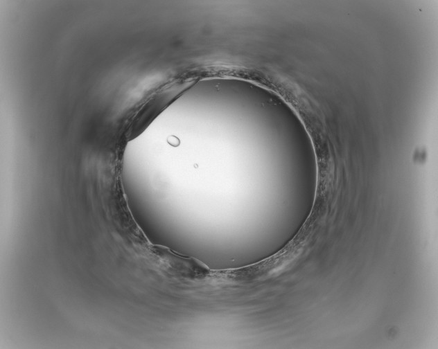 X0000091571157200709100950