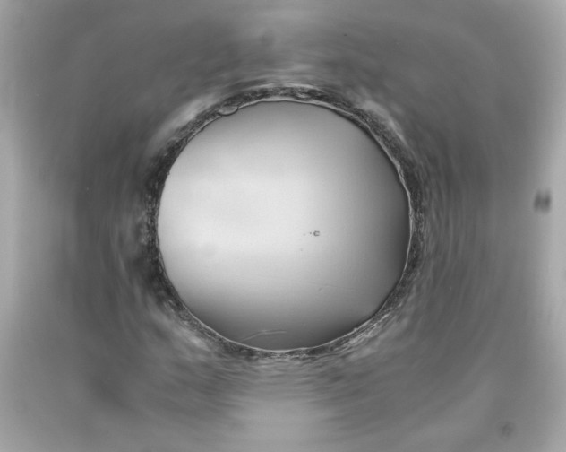 X0000091571159200709100950