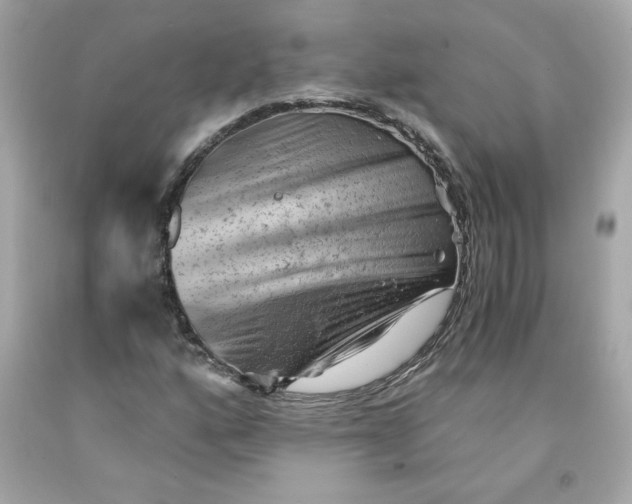 X0000091571160200709100950