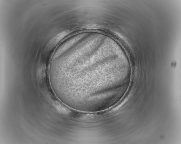 X0000091571161200709100950