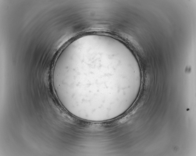 X0000091571162200709100950