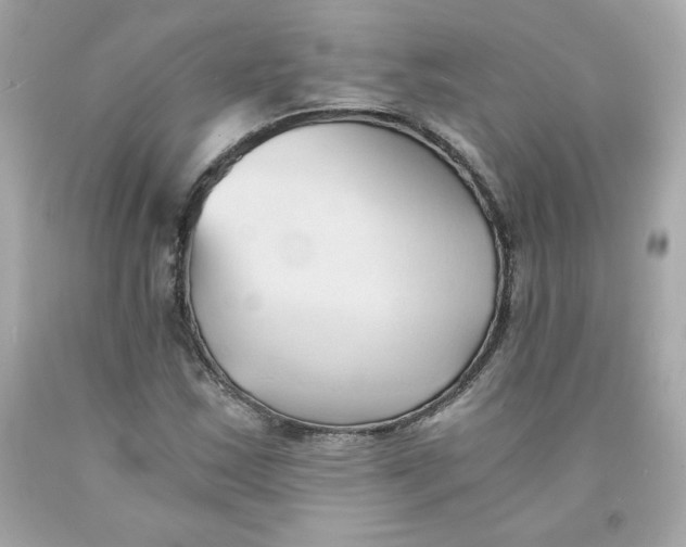 X0000091571163200709100950