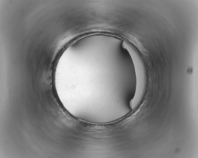 X0000091571164200709100950