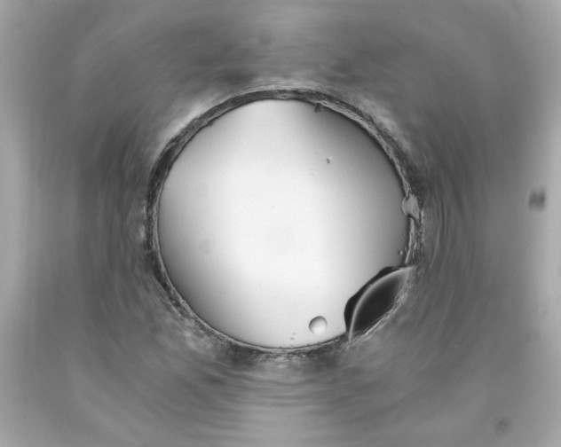 X0000091571165200709100950