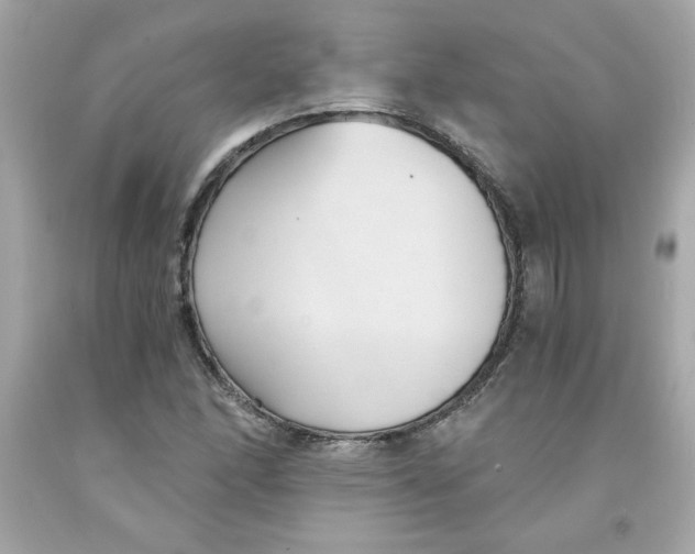 X0000091571166200709100950