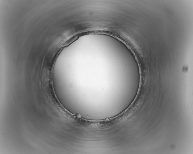 X0000091571169200709100950