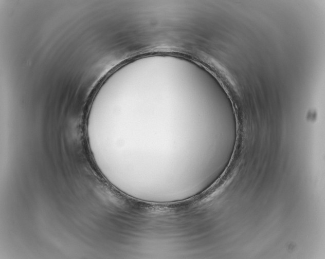 X0000091571170200709100950