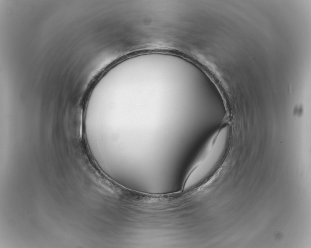 X0000091571171200709100950