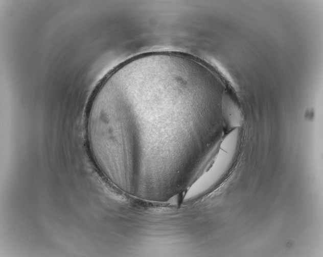 X0000091571173200709100950