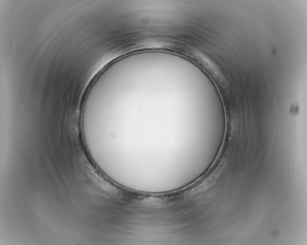 X0000091571178200709100950