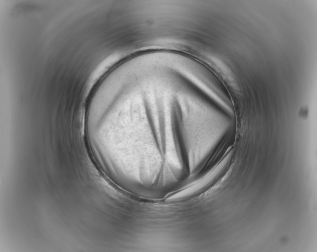 X0000091571180200709100950