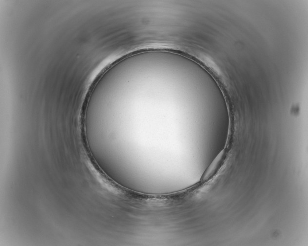 X0000091571181200709100950