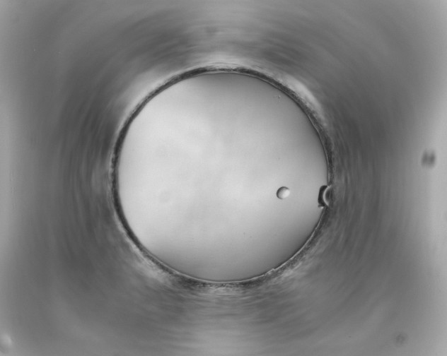 X0000091571183200709100950