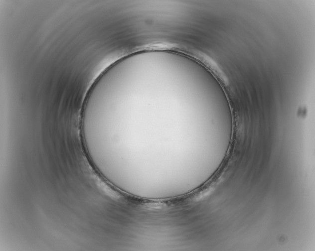 X0000091571186200709100950