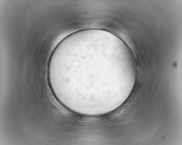 X0000091571187200709100950