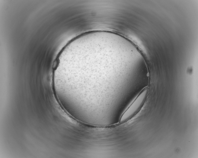 X0000091571188200709100950