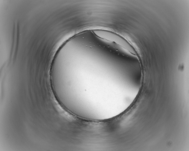 X0000091571189200709100950