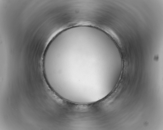 X0000091571190200709100950