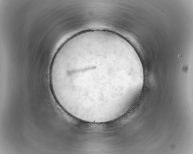 X0000091571191200709100950