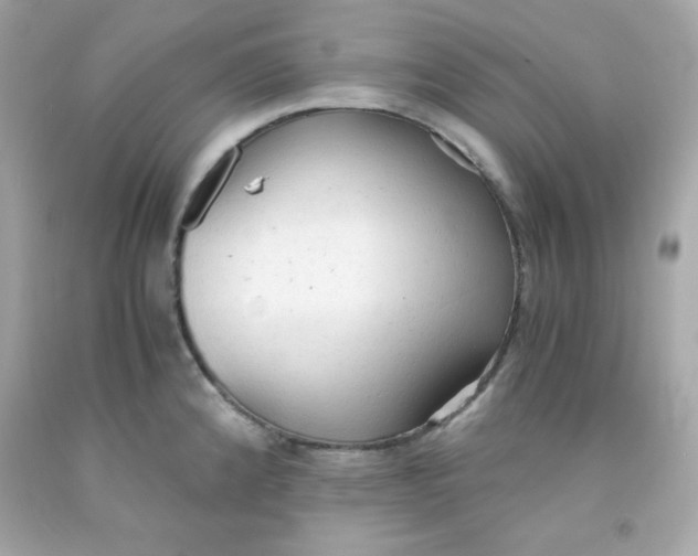 X0000091571192200709100950