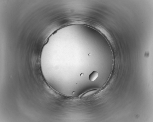 X0000091571193200709100950