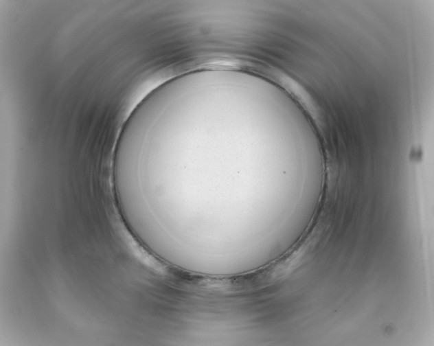 X0000091571194200709100950