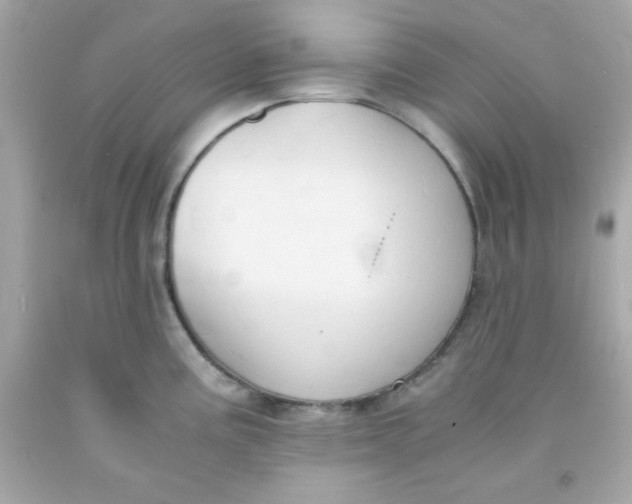 X0000091571195200709100950