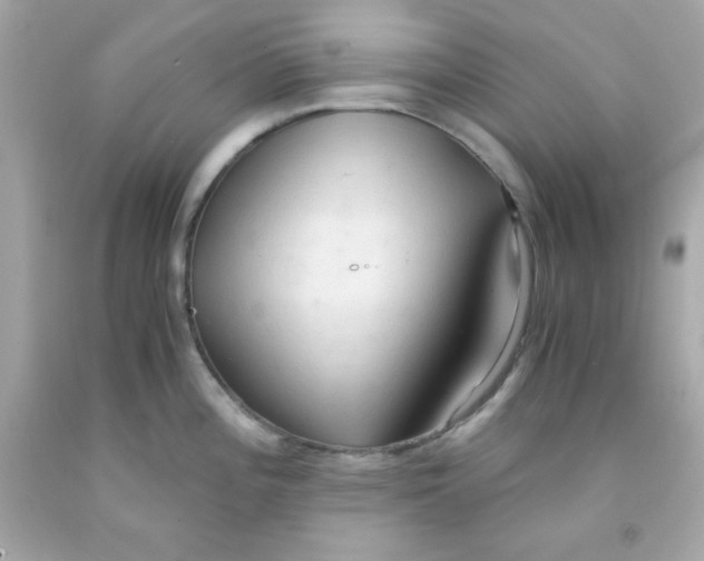 X0000091571196200709100950