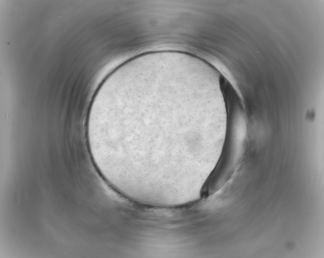 X0000091571197200709100950