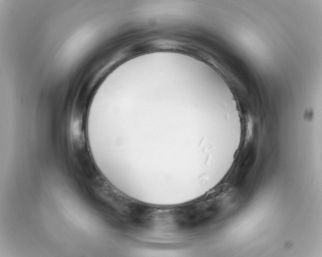 X0000091571198200709100950