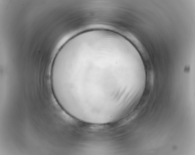 X0000091571199200709100950