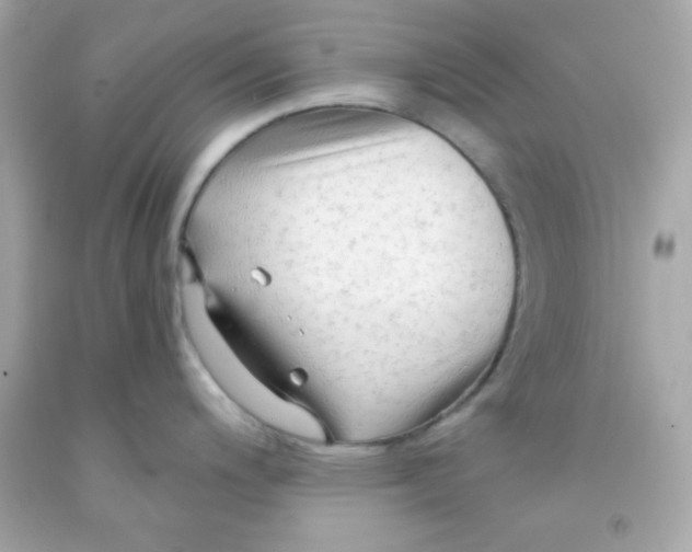 X0000091571200200709100950