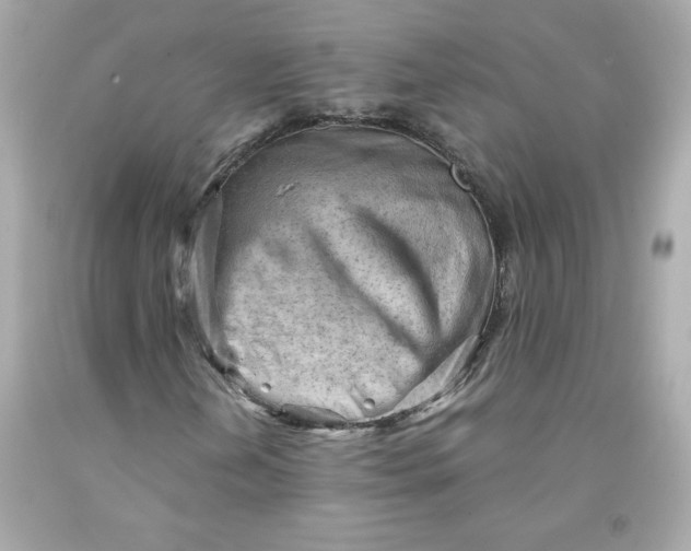 X0000091571202200709100949