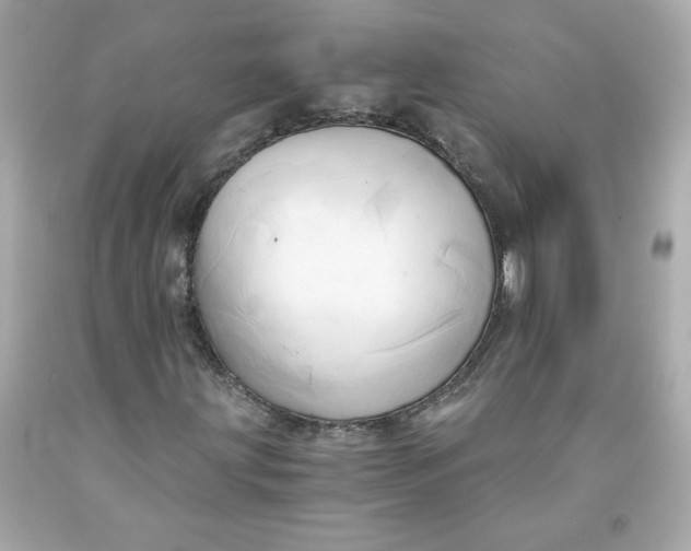 X0000091571203200709100949