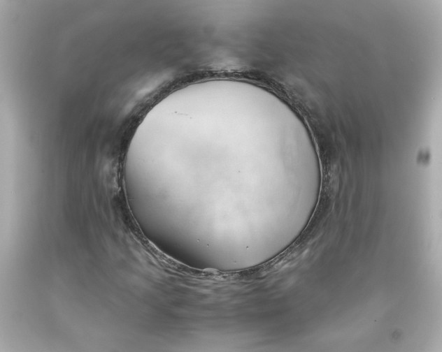 X0000091571205200709100949