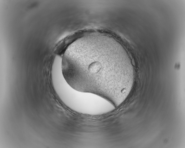 X0000091571206200709100949