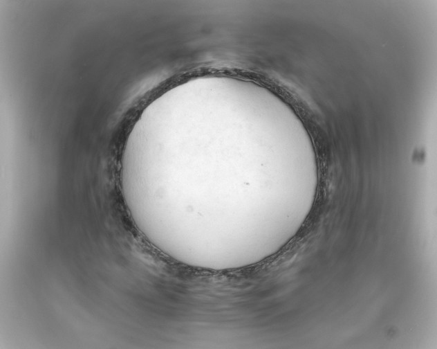 X0000091571207200709100949