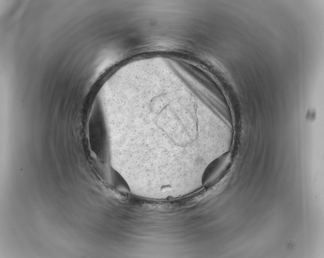 X0000091571210200709100949