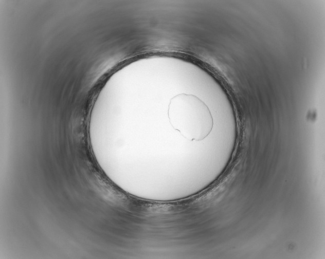 X0000091571211200709100949