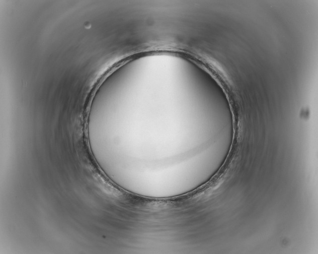 X0000091571212200709100949