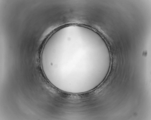 X0000091571215200709100949