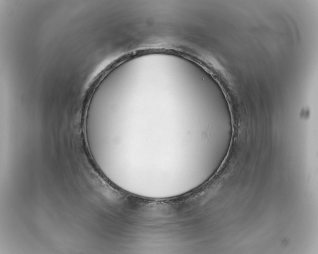 X0000091571216200709100949