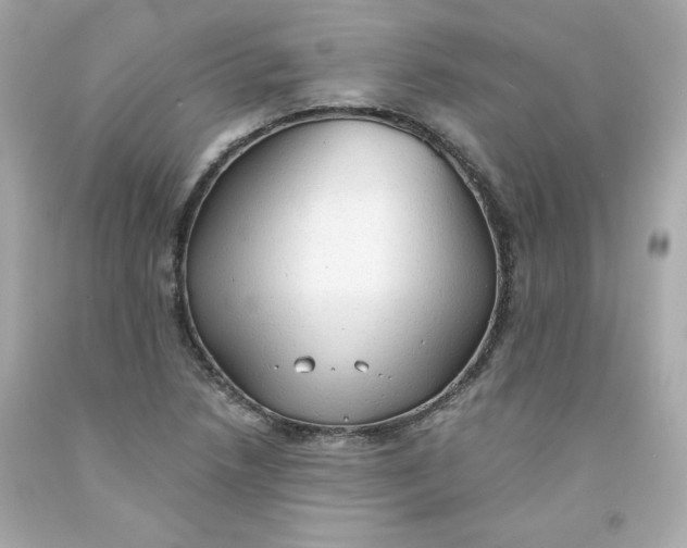 X0000091571218200709100949